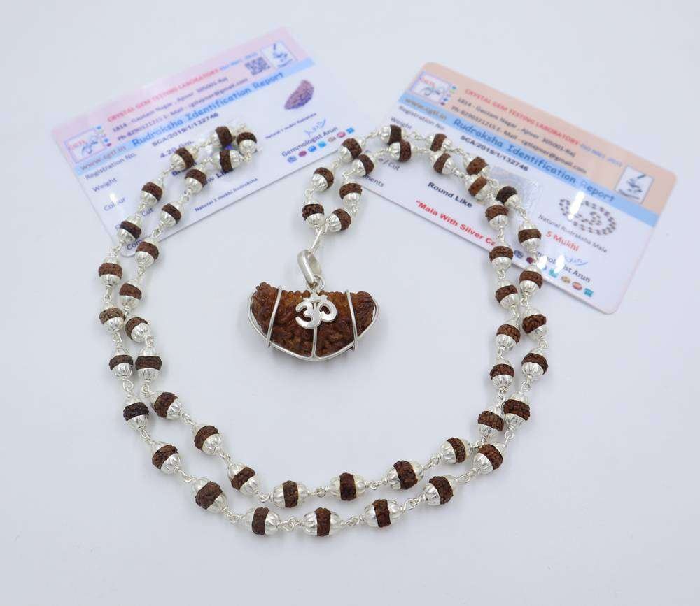 WhatsApp Image 2022-05-05 at 12.23.41 PM